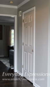 Before: White interior foyer door.