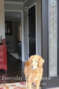 This is the view as you enter. Isn't my Riley girl posing?