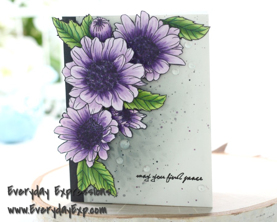 The Beauty Is In the&nbsp;Details