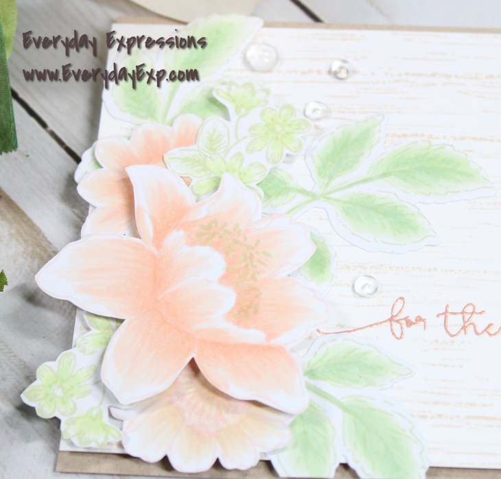 AFC5E7F9-87DD-4D9D-BC8C-0109F78FBF30