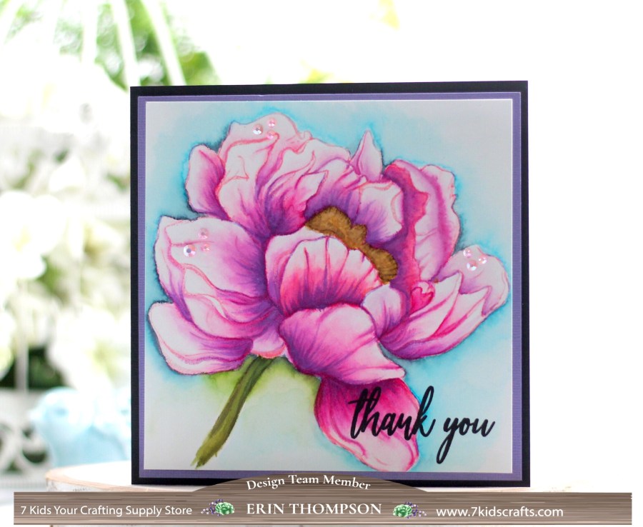 Picket Fence Studios Botan Peony&nbsp;Watercolor