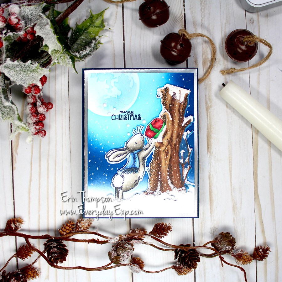 Colorado Craft Company Anita Jeram Release – November,&nbsp;2021