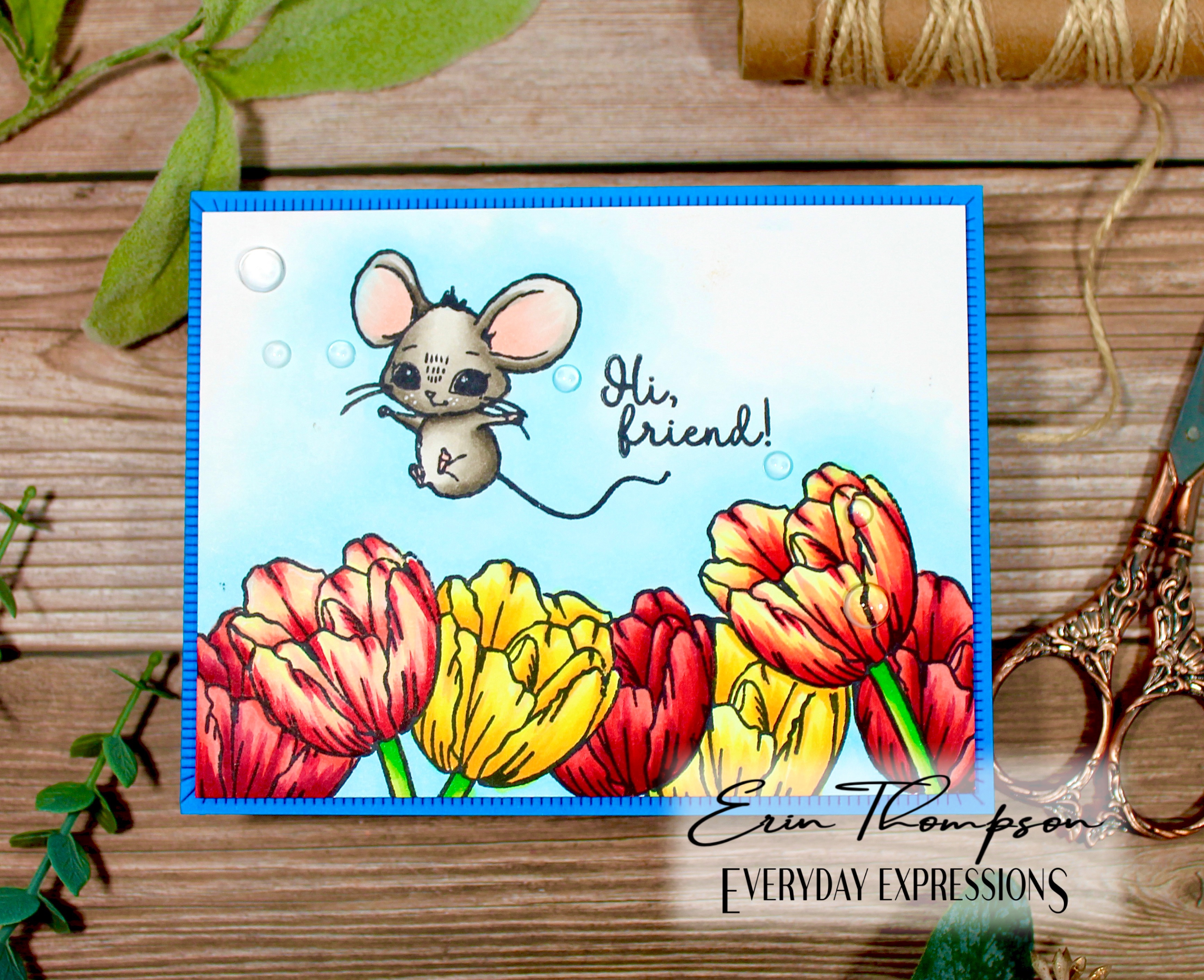 Colorado Craft Company Kris Lauren May, 2022 Release – Everyday Expressions