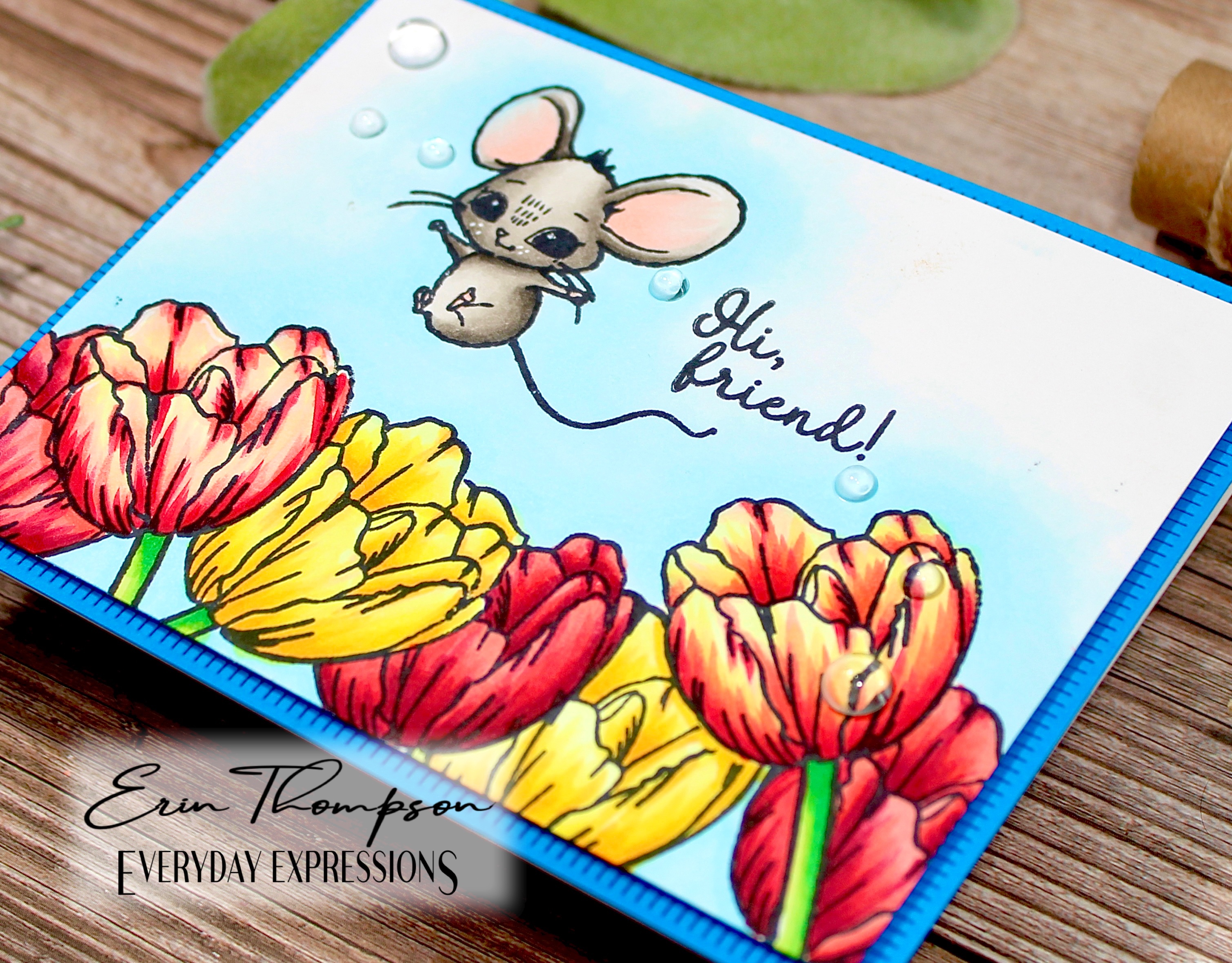Colorado Craft Company Kris Lauren May, 2022 Release – Everyday Expressions