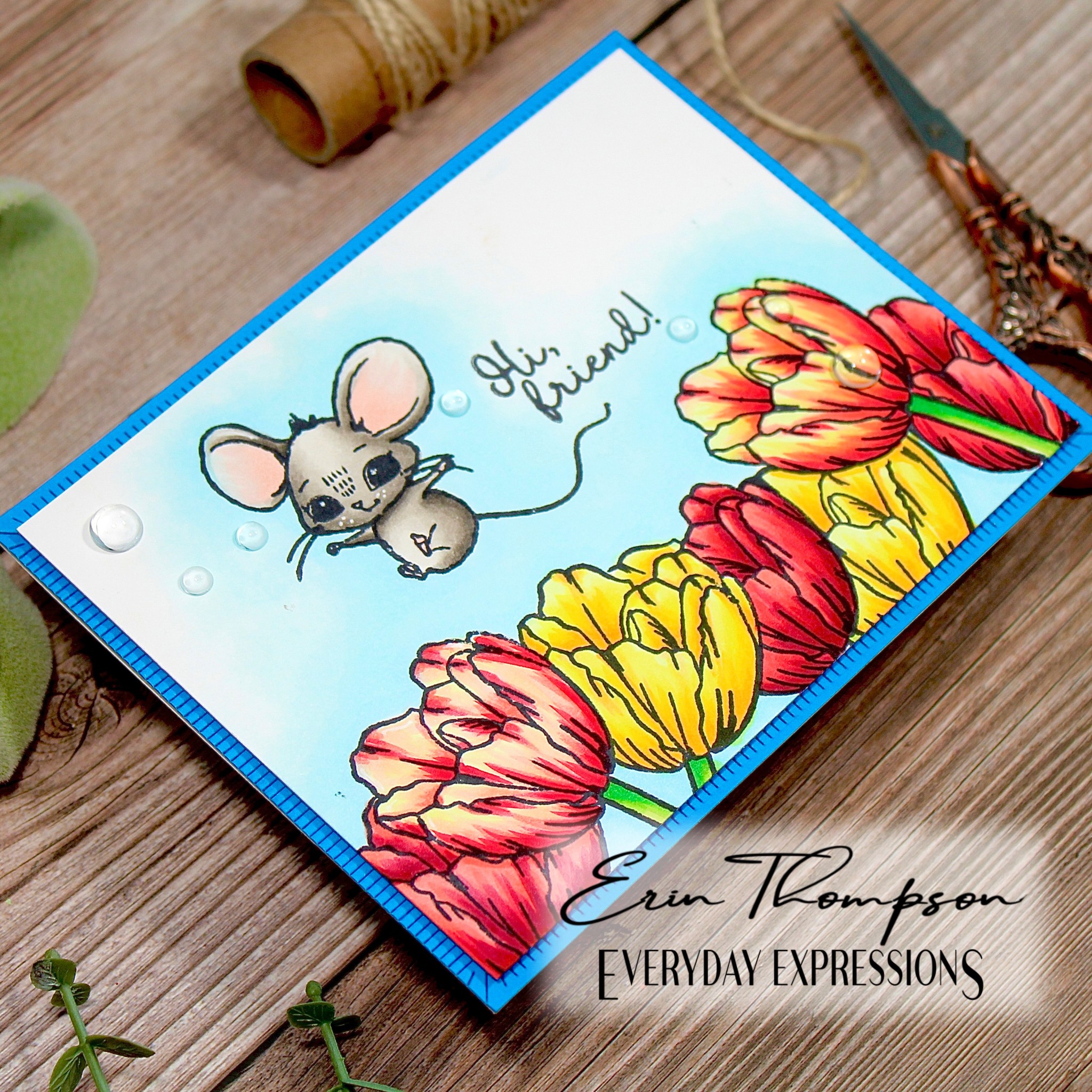 Colorado Craft Company Kris Lauren May, 2022 Release – Everyday Expressions